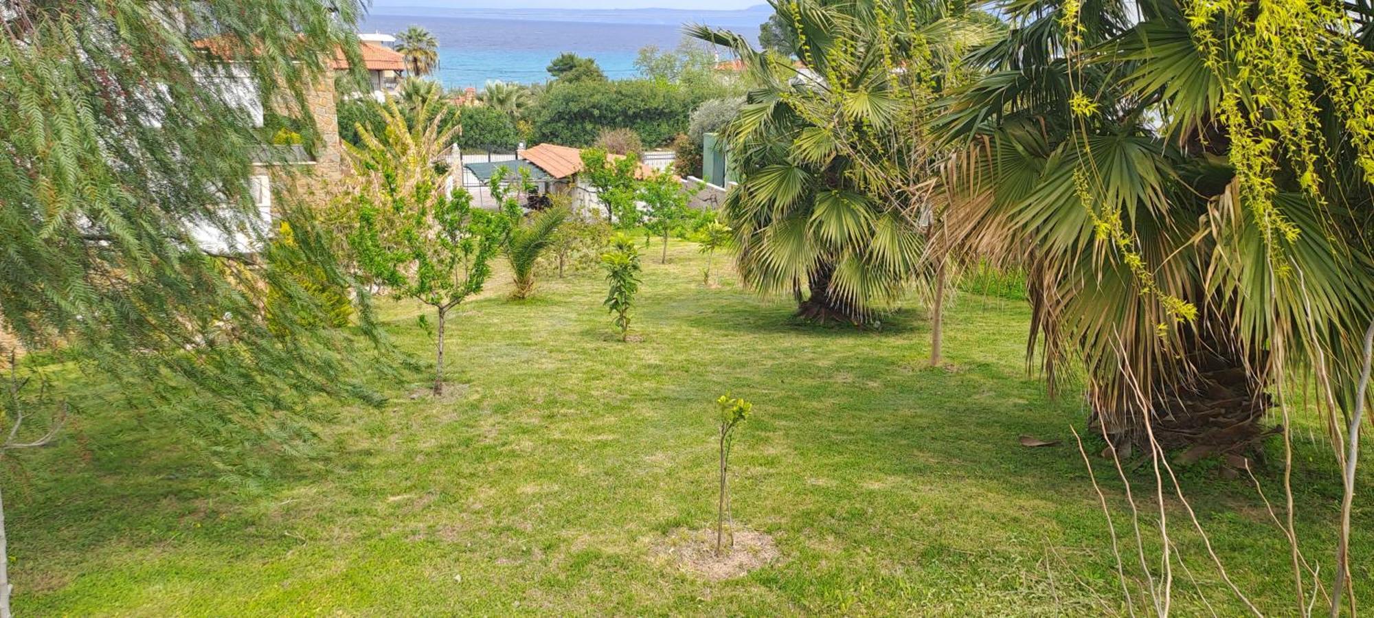 Villa Helga Exotic Пефкохорі Екстер'єр фото